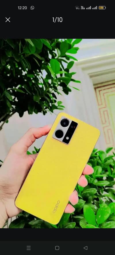 03237004371 OPPO F21 Pro+ 5G dualsim amoled display finger no fault