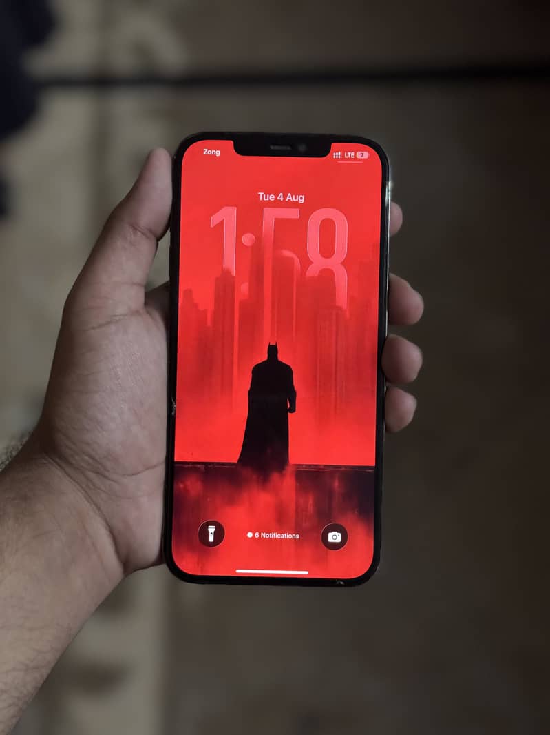 12 Pro Max 4