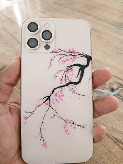 Apple iPhone 12 Pro Max