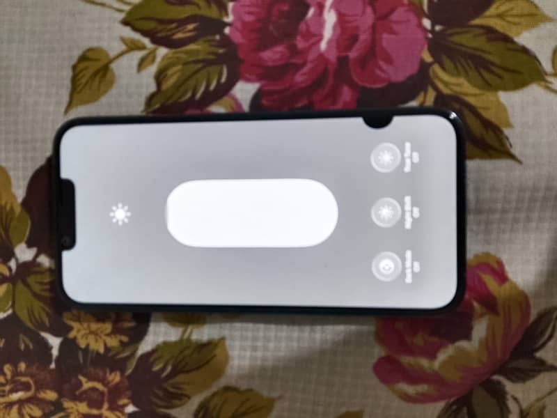 Apple iPhone 13 Pro 1