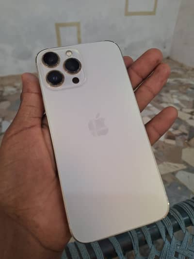 Apple iPhone 13 Pro Max