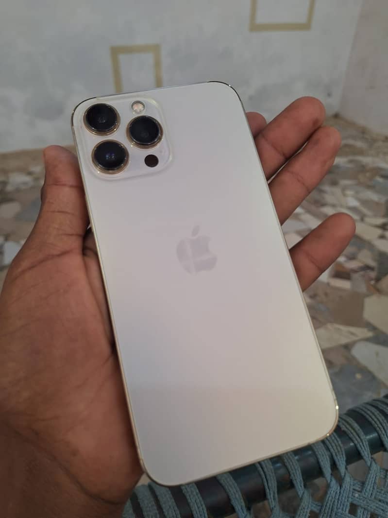 Apple iPhone 13 Pro Max 0