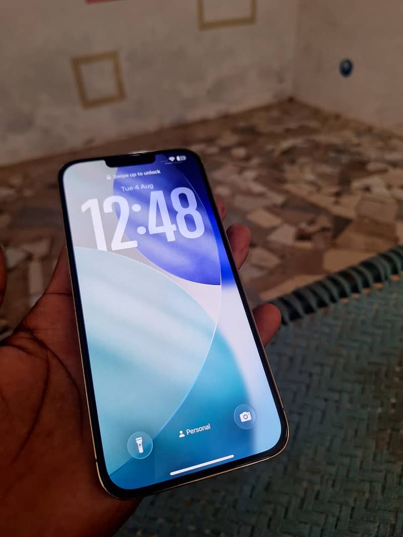 Apple iPhone 13 Pro Max 1