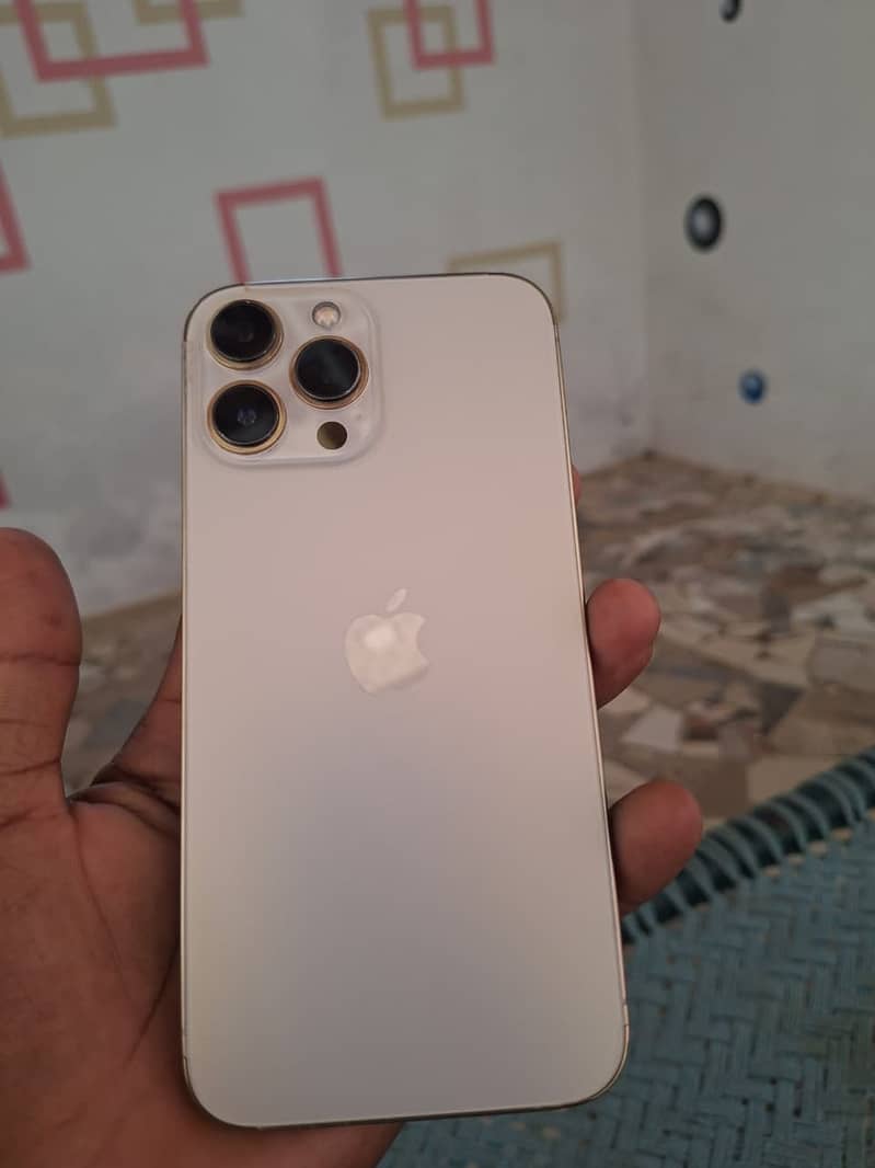 Apple iPhone 13 Pro Max 2