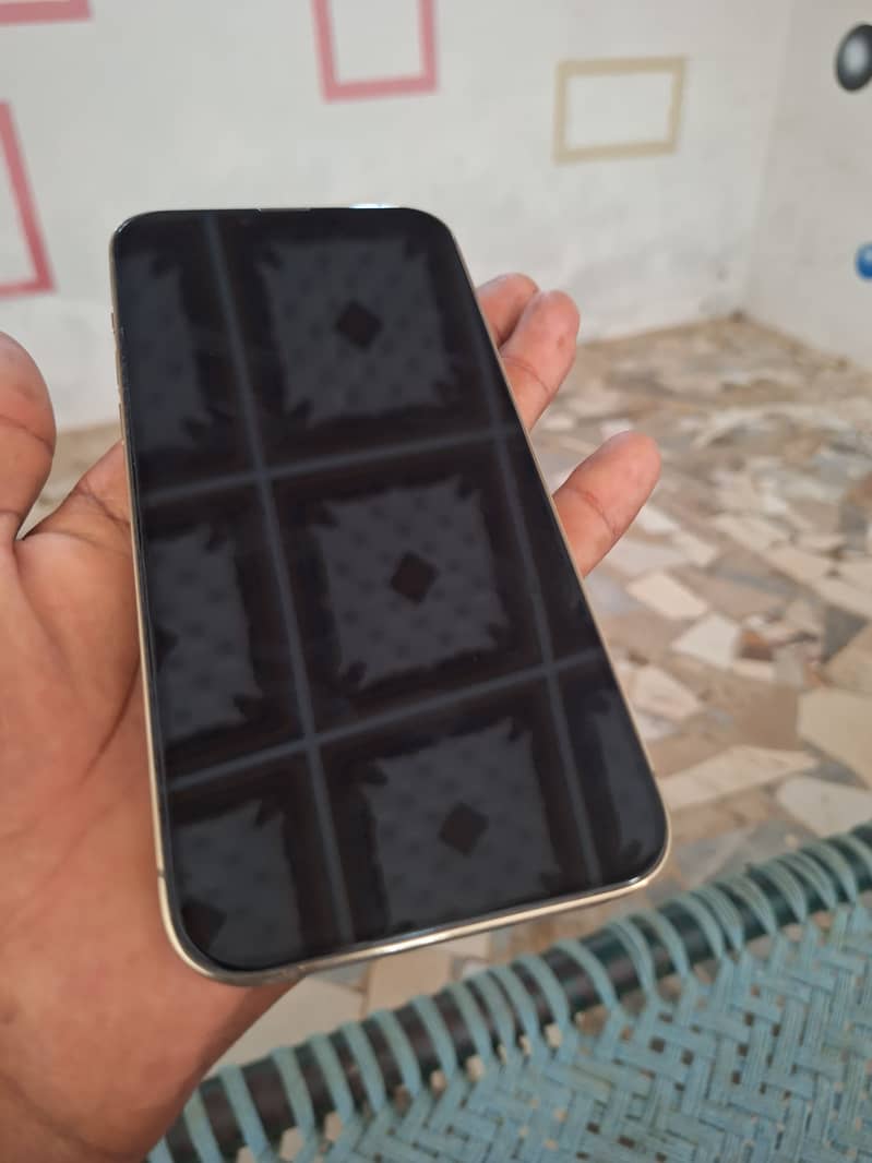 Apple iPhone 13 Pro Max 3