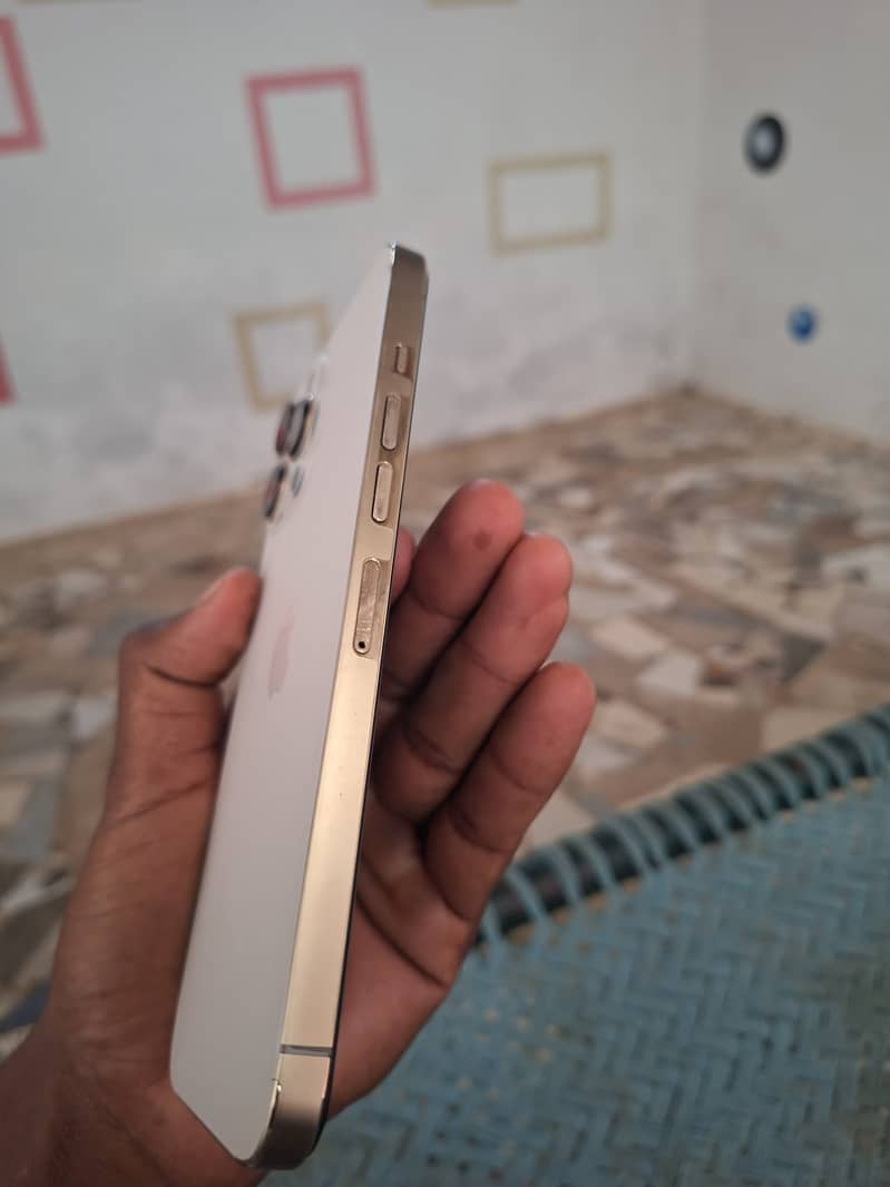Apple iPhone 13 Pro Max 4