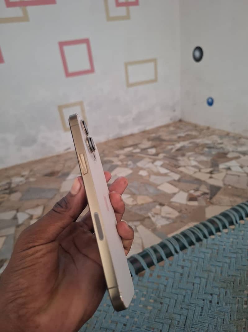 Apple iPhone 13 Pro Max 6