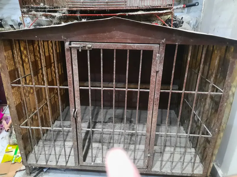 Metal cage — photo 3