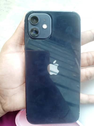 Apple iPhone 12