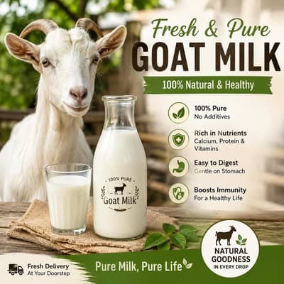 FRESH BAKRI MILK AVAILABLE SIALKOT