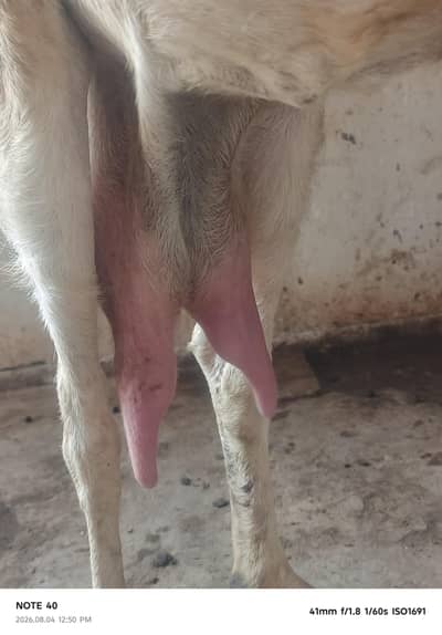 Bakri with kid