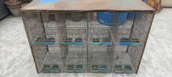8 portion cage