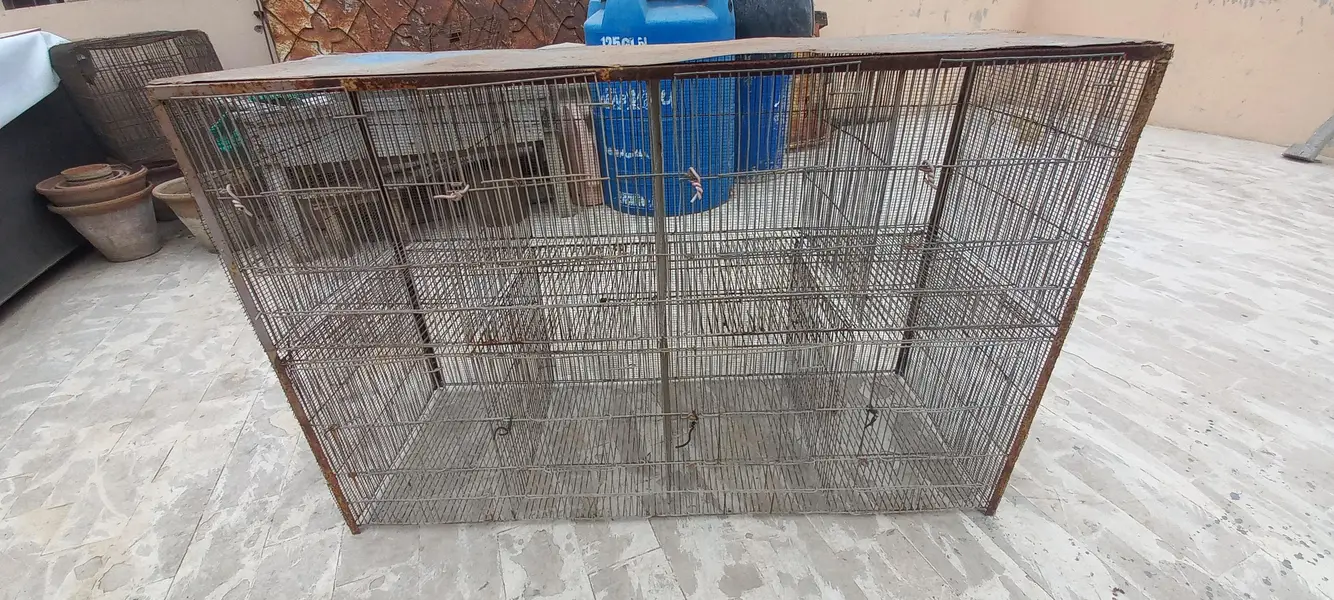 8 portion cage — photo 4