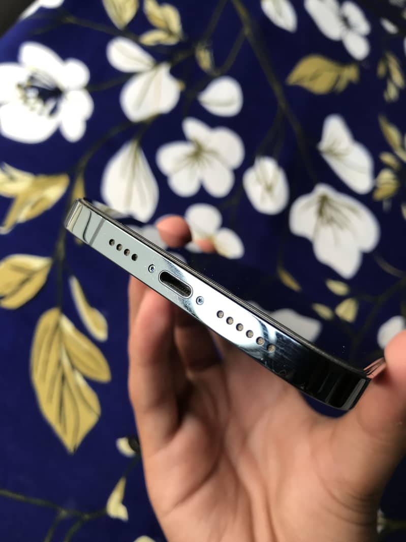Apple iPhone 12 Pro Max 1