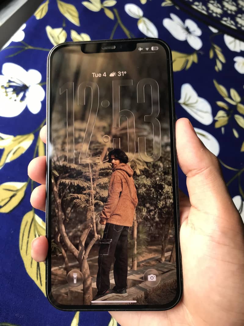 Apple iPhone 12 Pro Max 2