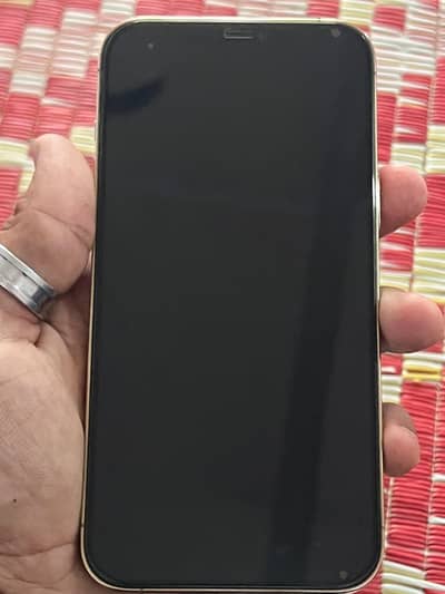 Apple iPhone 12 Pro Max pta approved