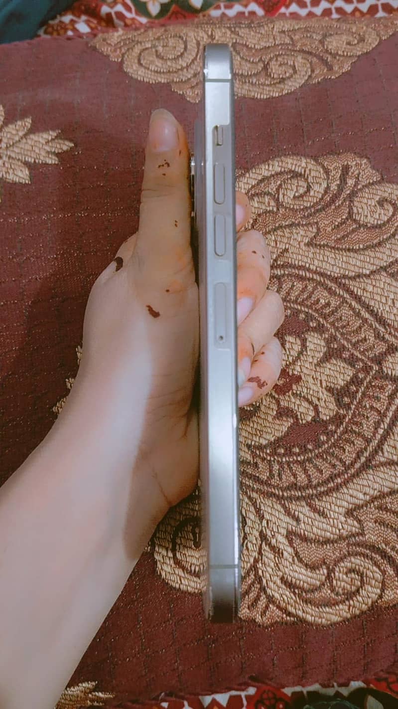 Apple iPhone 13 Pro Max 5