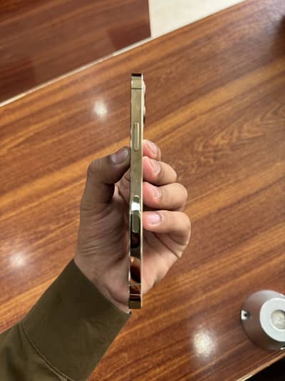 Apple iPhone 12 Pro