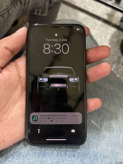 Apple iPhone X