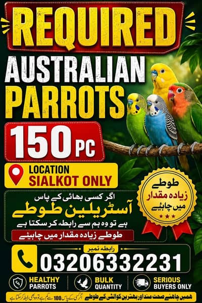 Required Budgies