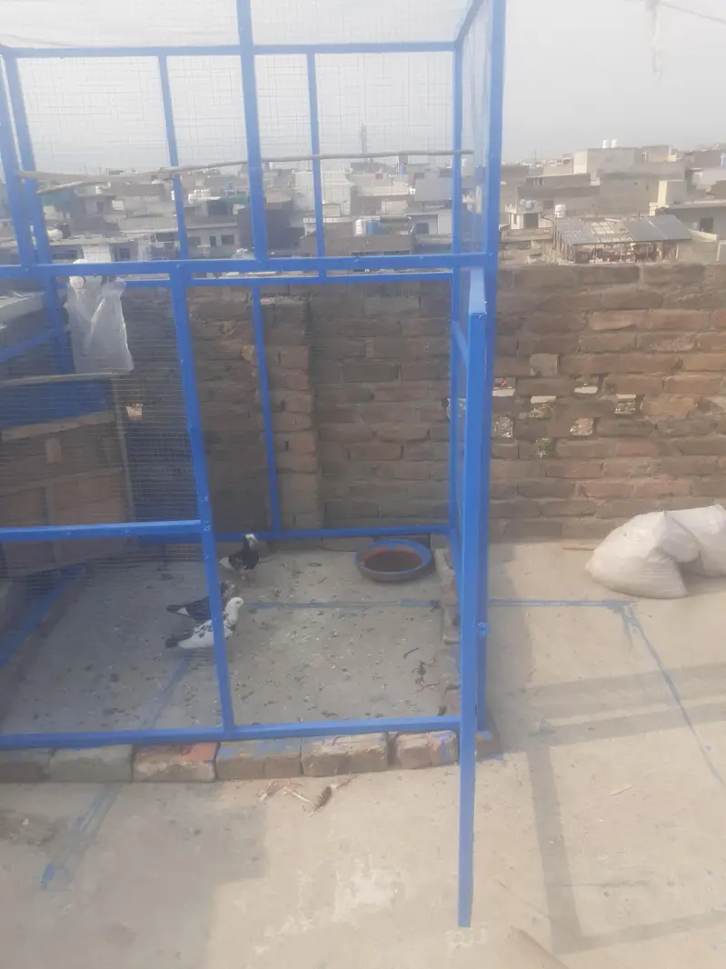 heavy duty big cage — photo 2
