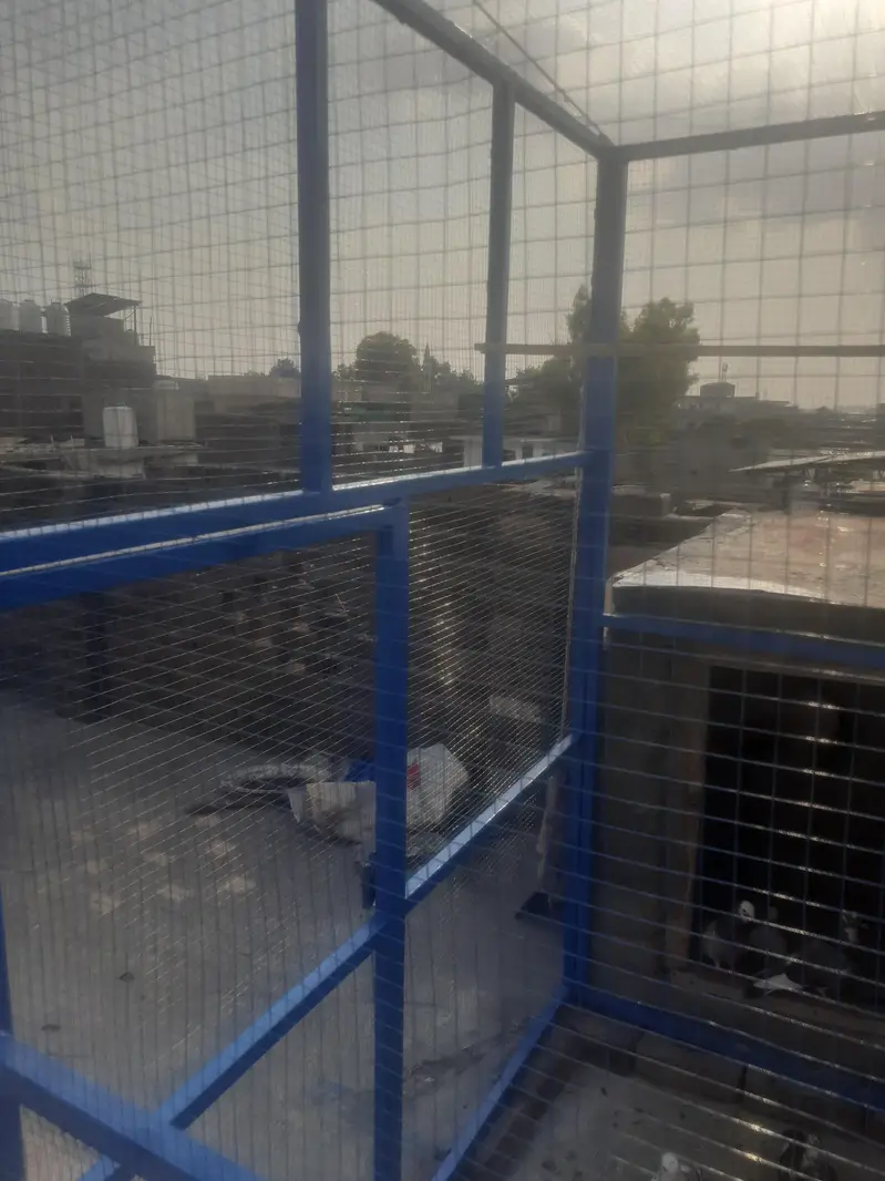 heavy duty big cage — photo 3
