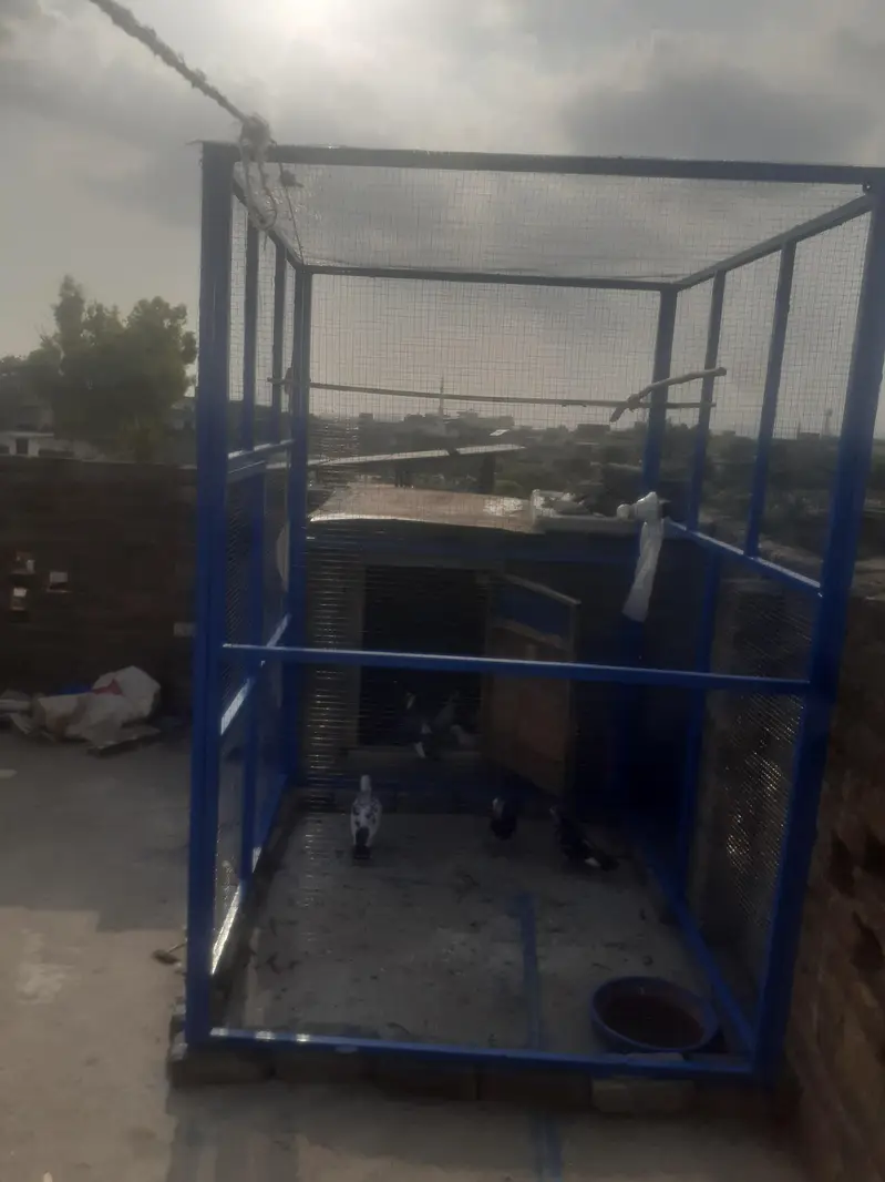heavy duty big cage — photo 5