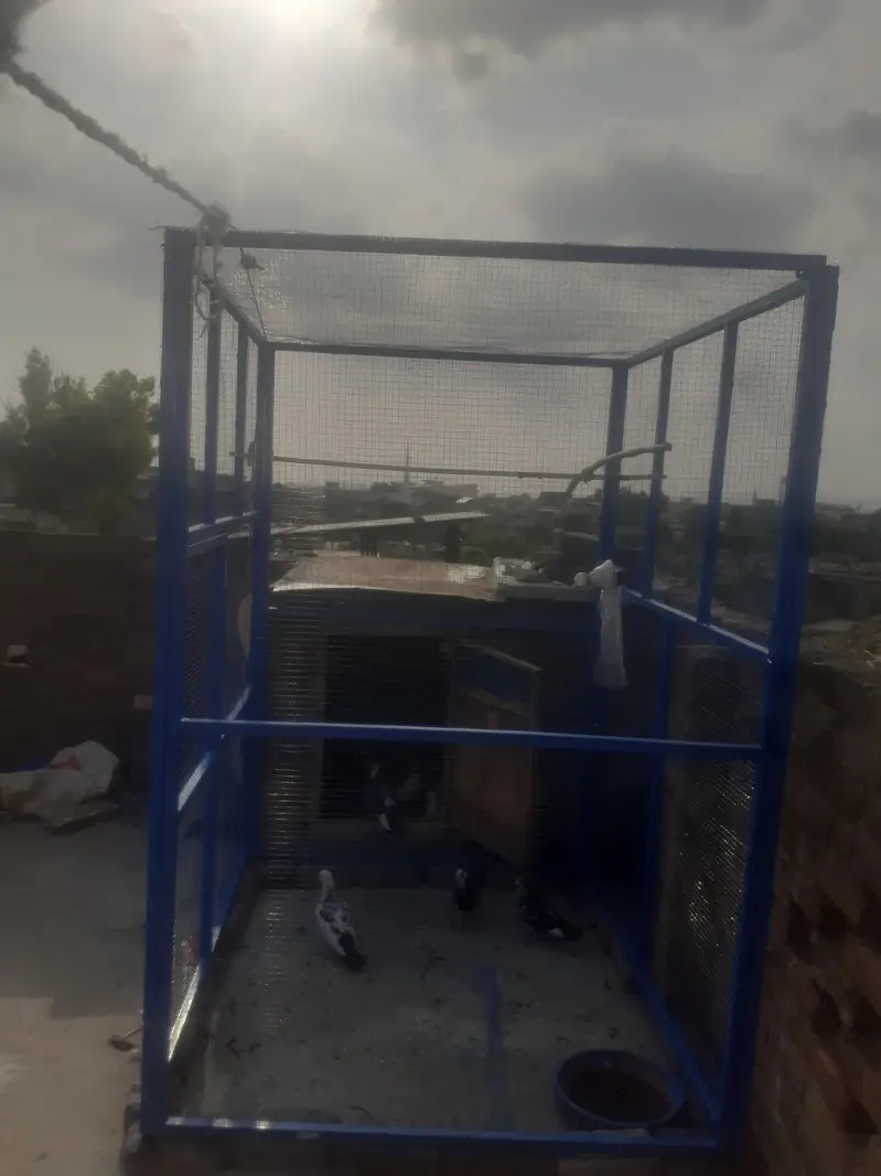 heavy duty big cage — photo 6