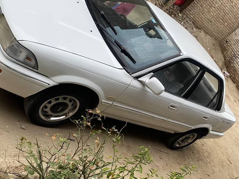 CORROLA 88 6
