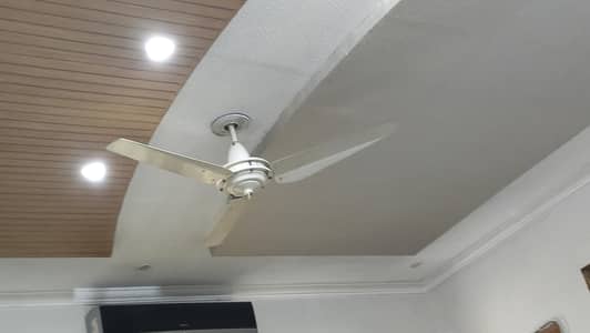 pak fan ceiling fan