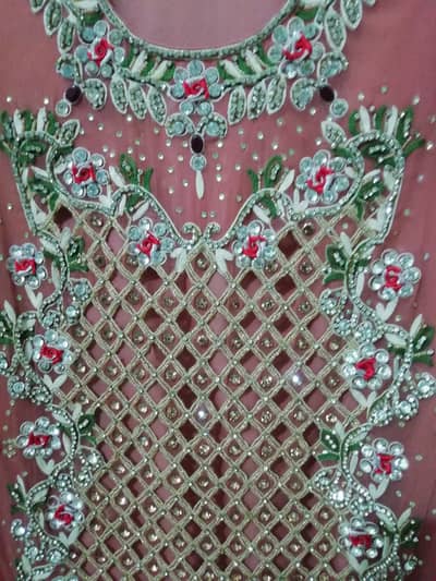 Fancy 3pc cut work dress