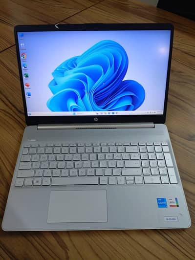 HP LAPTOP PROBOOK