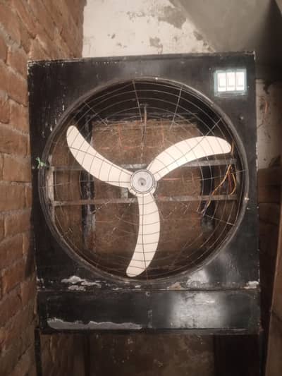 12 volt DC