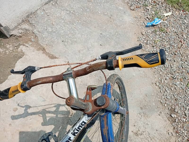 bicycle 1