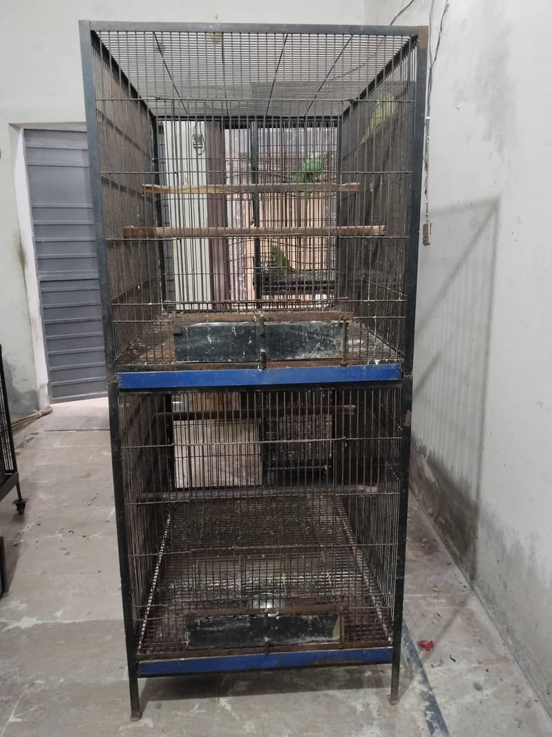 Big Cage 0