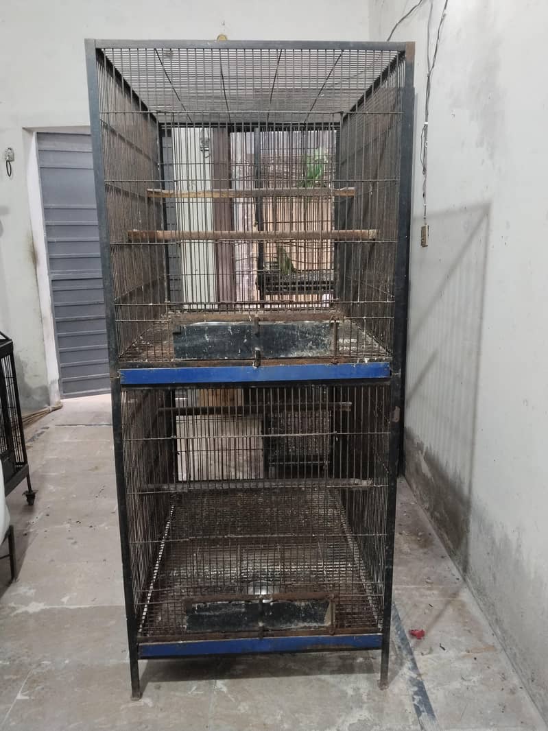 Big Cage 2