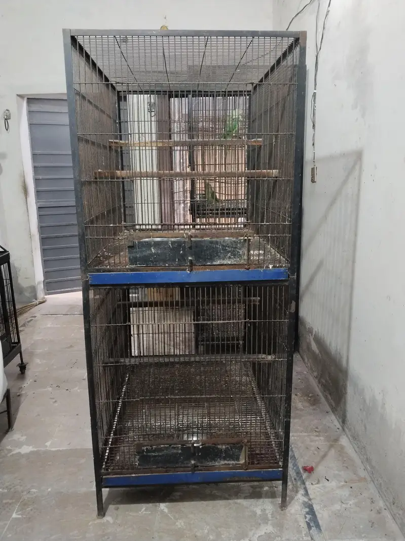 Big Cage — photo 3