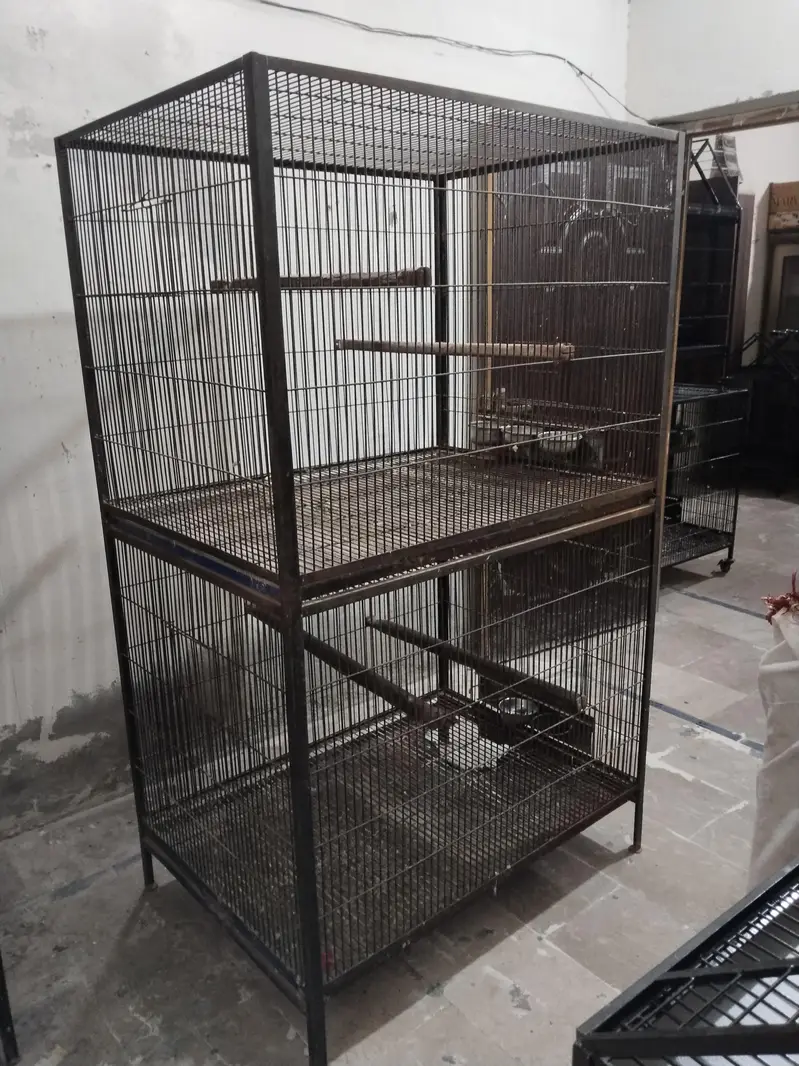 Big Cage — photo 4