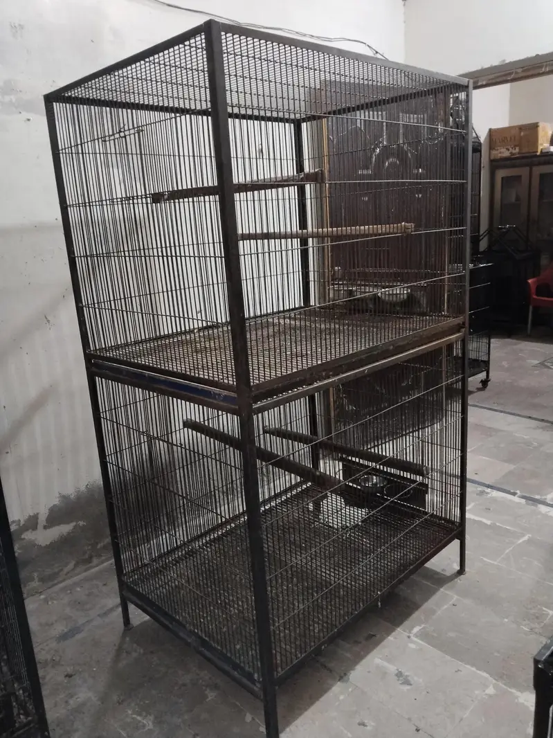 Big Cage — photo 5