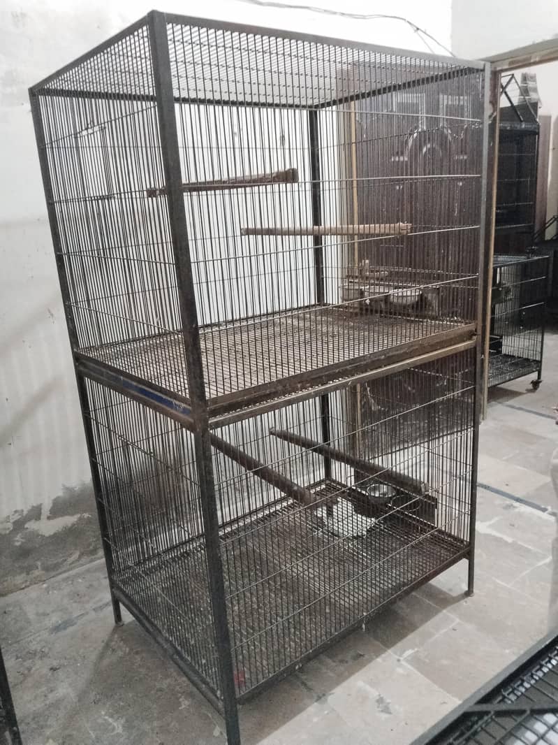 Big Cage 5