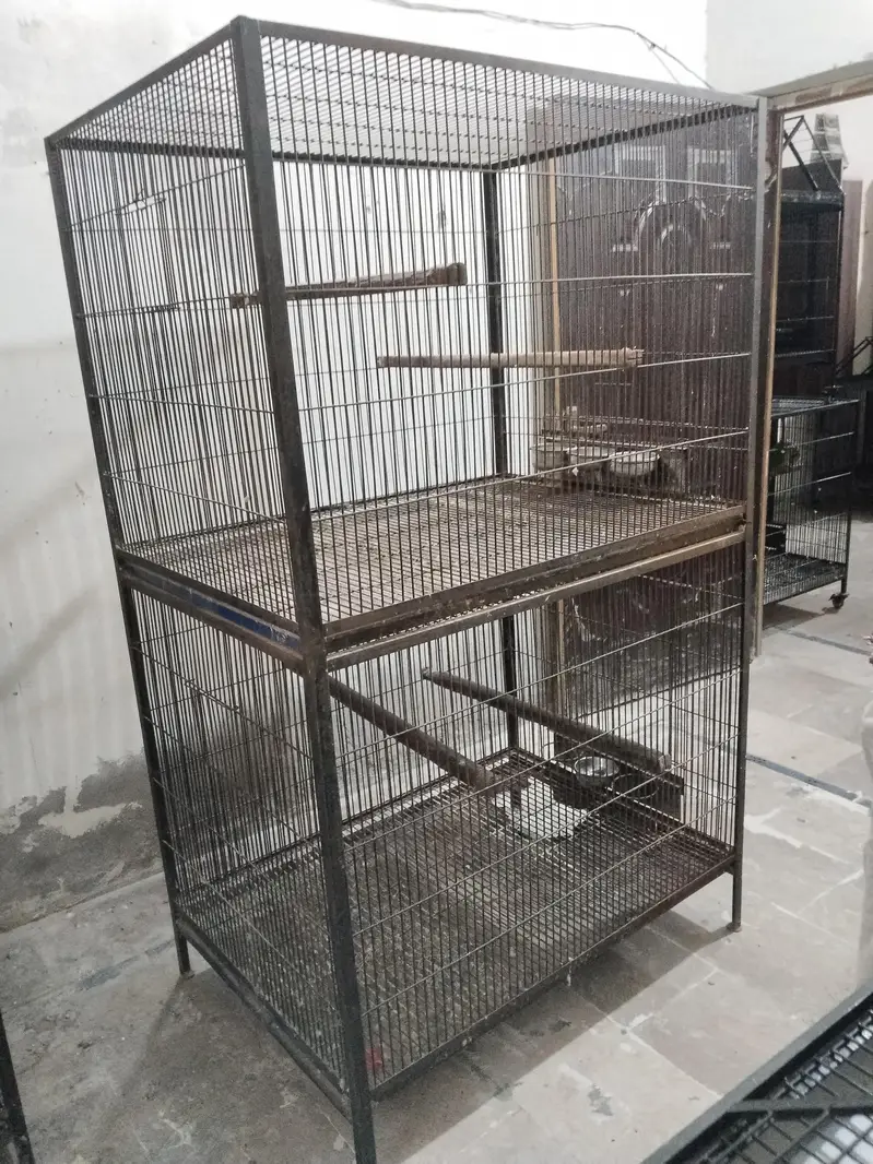 Big Cage — photo 6