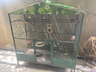 Cage for sale (with parrots)