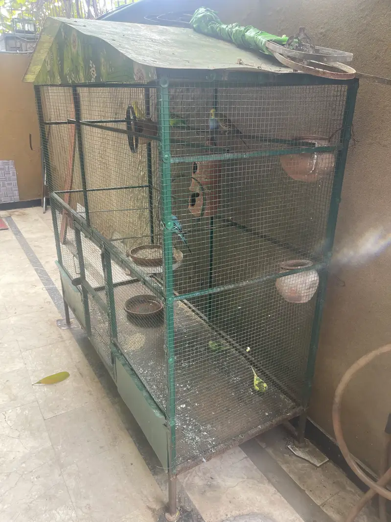 Cage for sale (with parrots) — photo 3