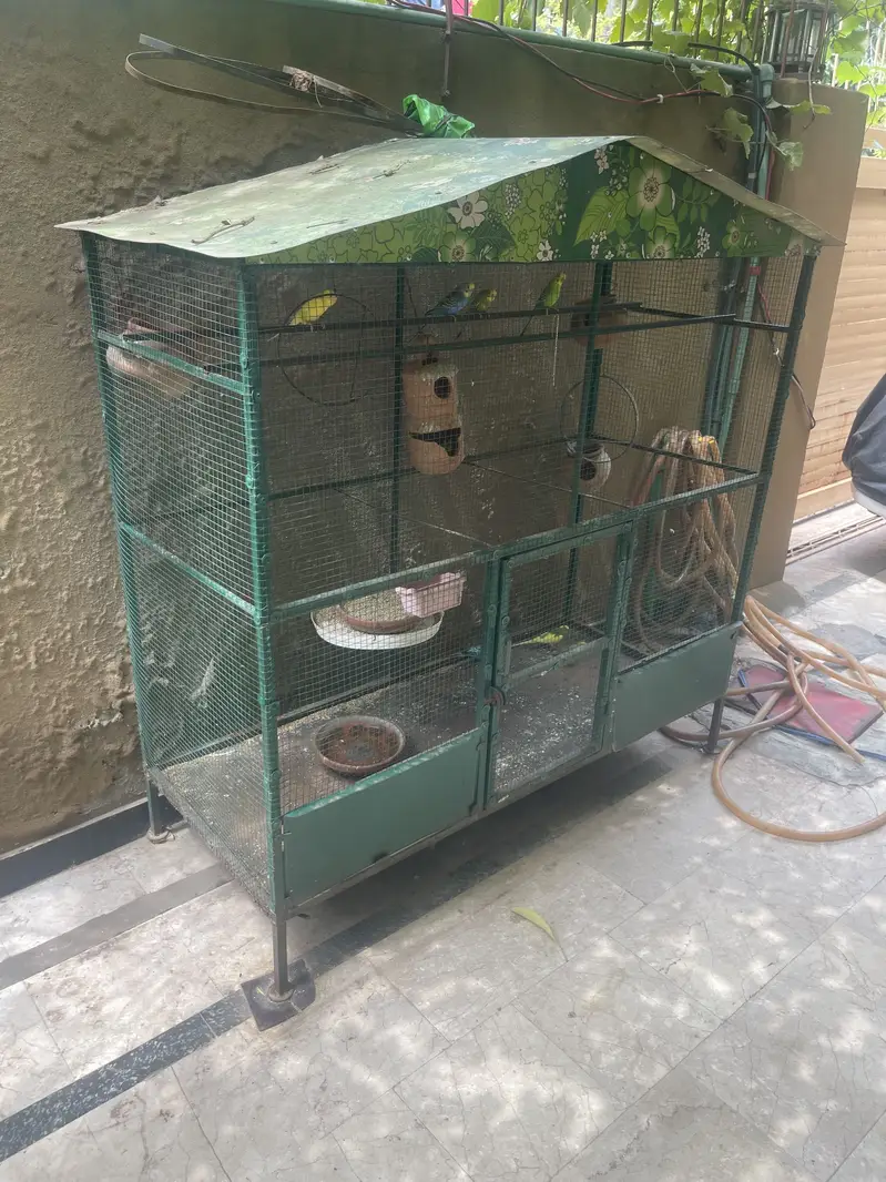 Cage for sale (with parrots) — photo 4