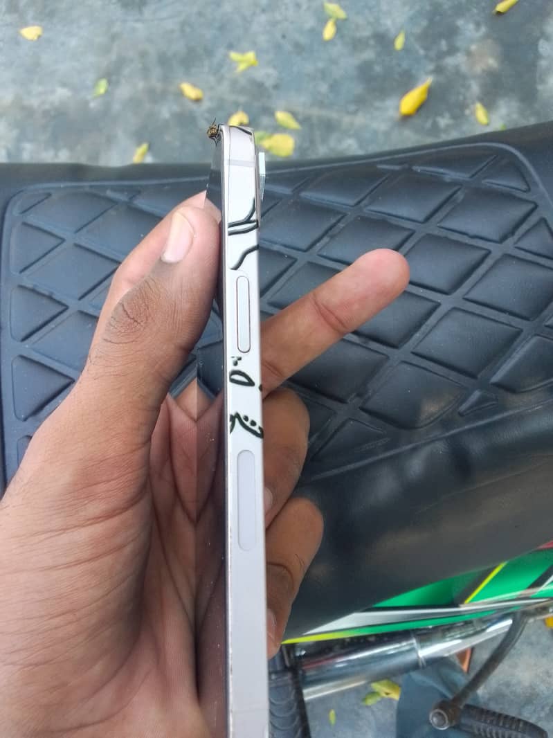 Apple iPhone 13 0