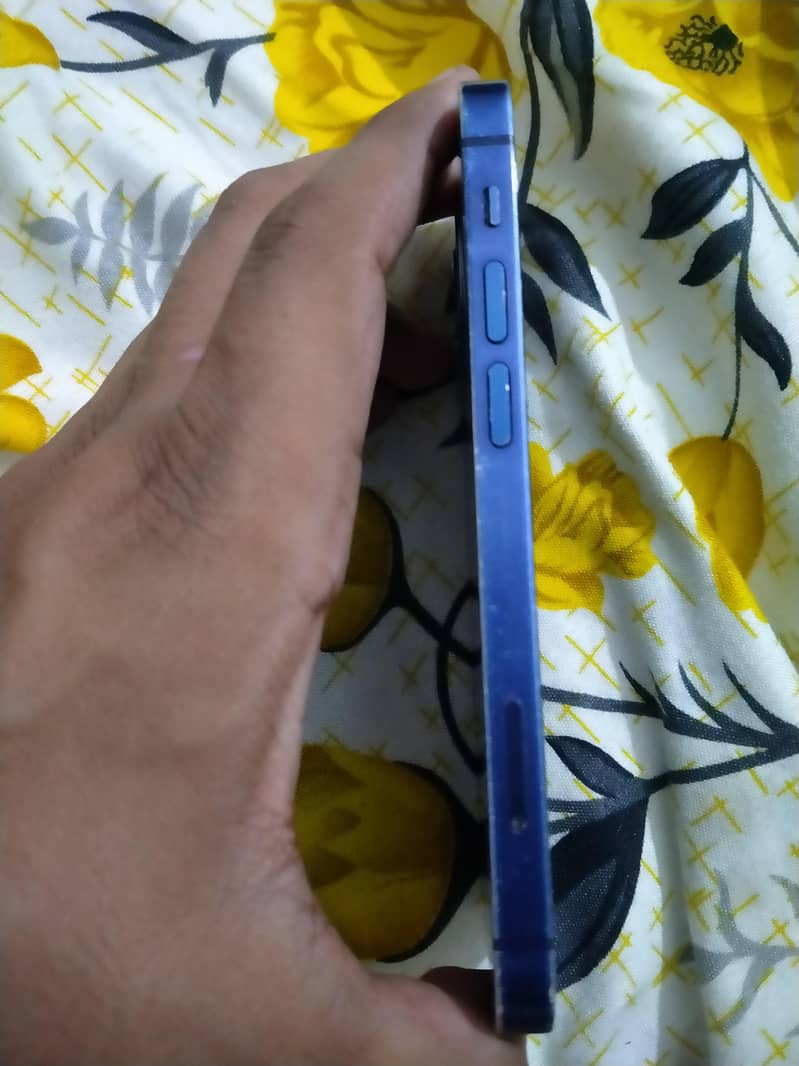 Apple iPhone 12 mini 1