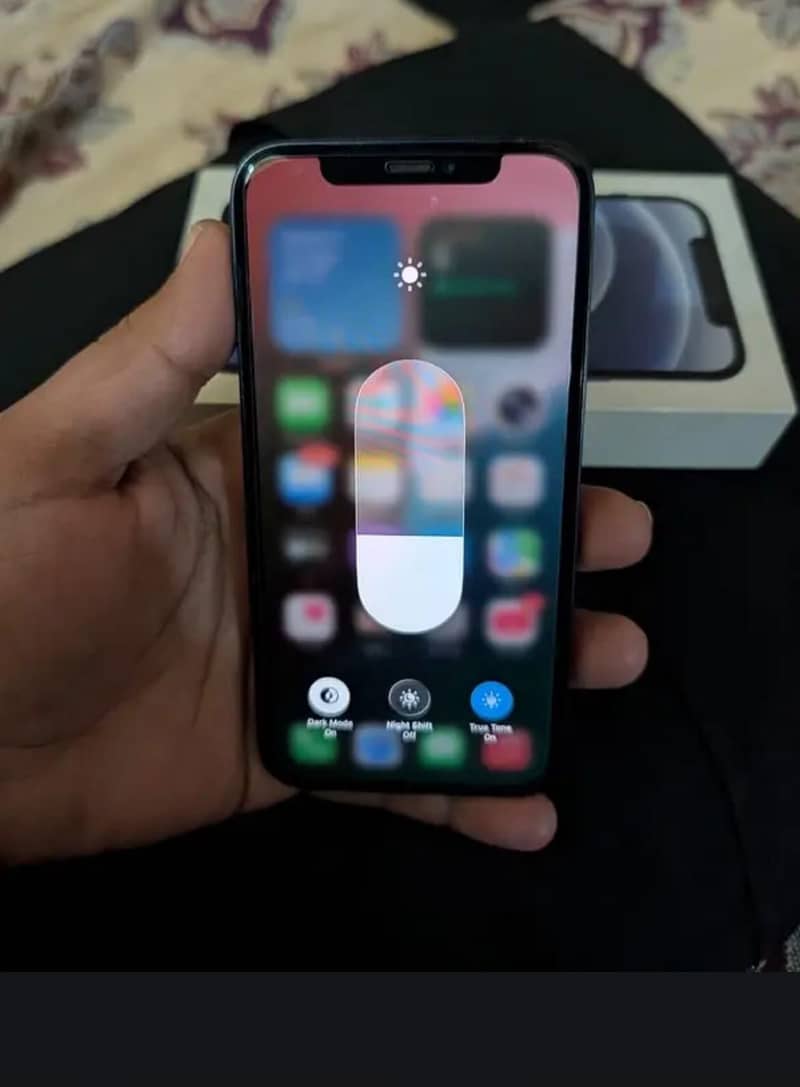 Apple iPhone 12 1