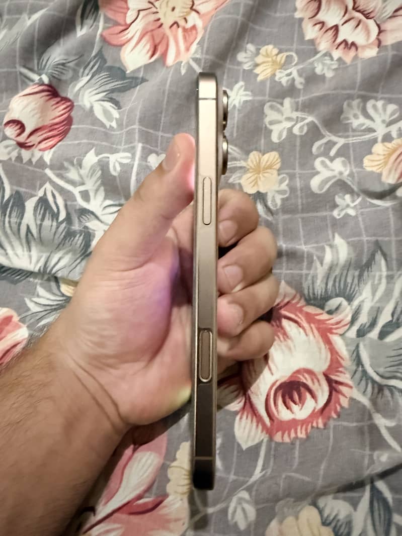 Apple iPhone 16 Pro Max 2