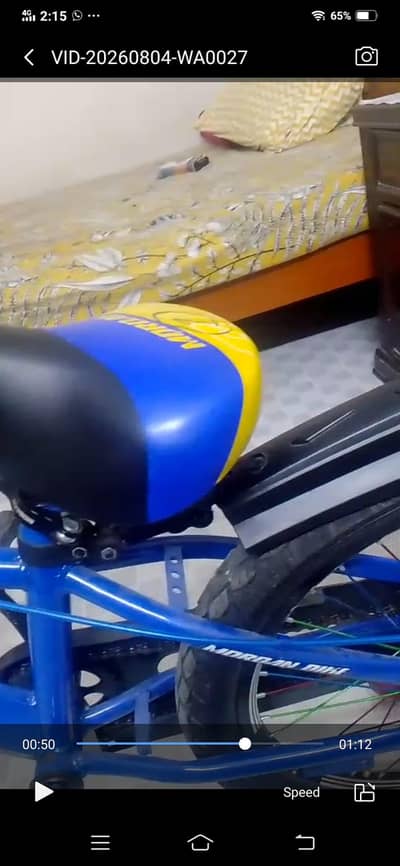kids bicycle