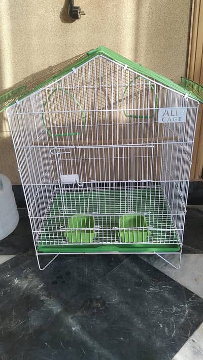 Birds Cage